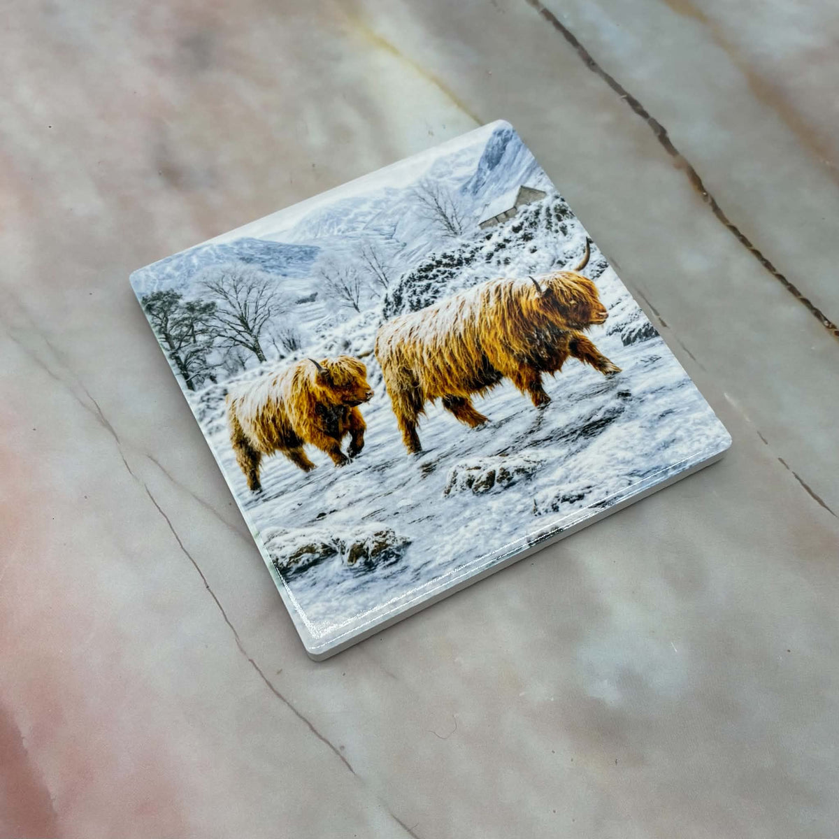 The Winter Collection | Highland Cow Coasters | 4 Designs