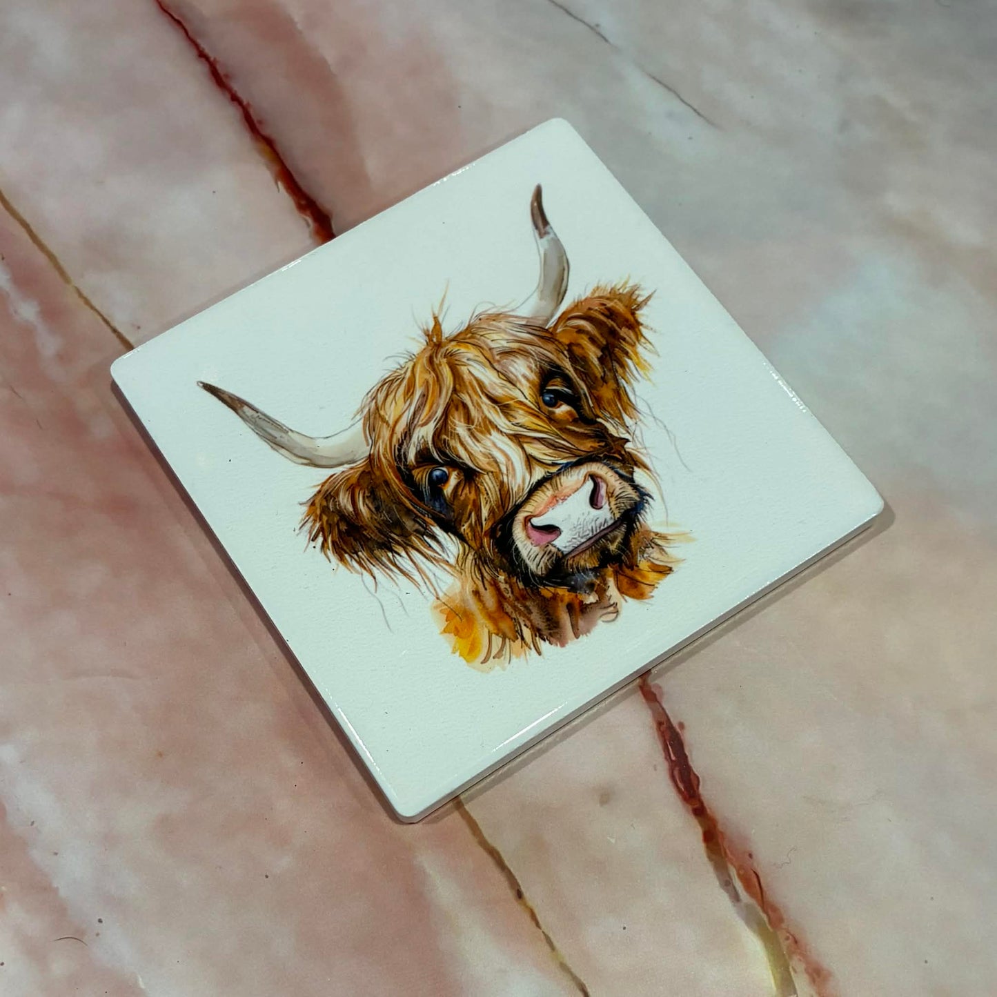 Animal Coasters | Ceramic | Various Designs