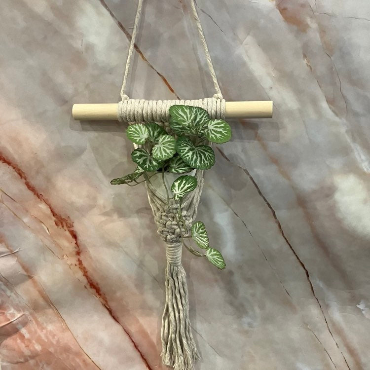Small Succulent Macrame Hangers | Various Designs & Colours