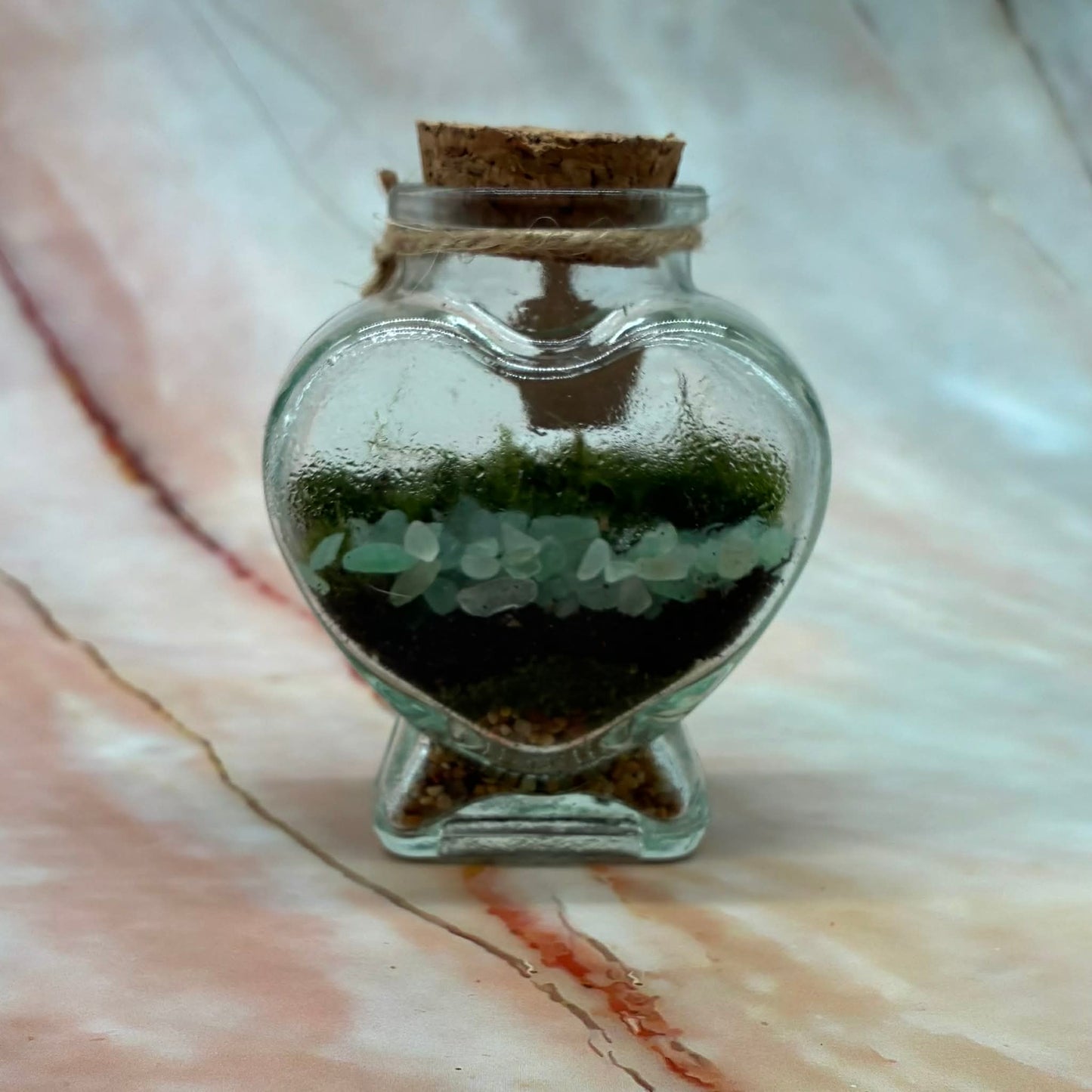 Self Sustaining Terrariums | Various Sizes