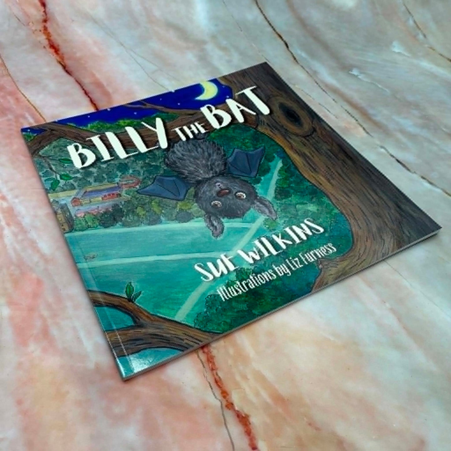 Billy the Bat | Original Childrens Book & Matching Toy