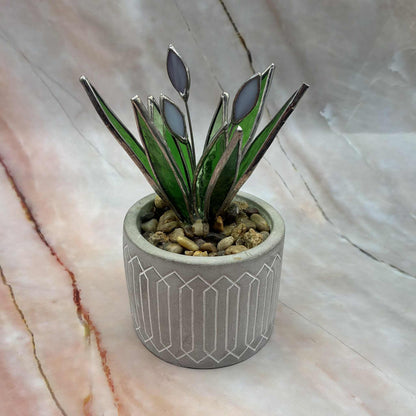 Succulents | Stained Glass | Various Sizes & Colours