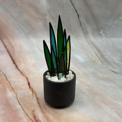 Succulents | Stained Glass | Various Sizes & Colours