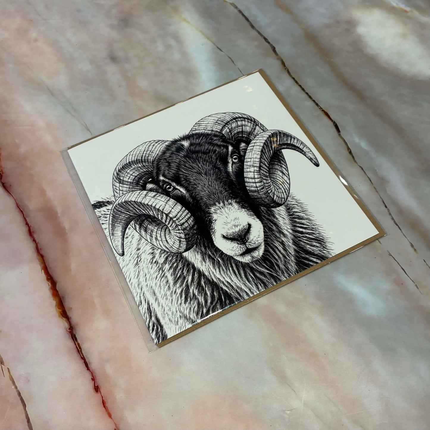 Yorkshire Sheep Greetings Cards | Various Designs