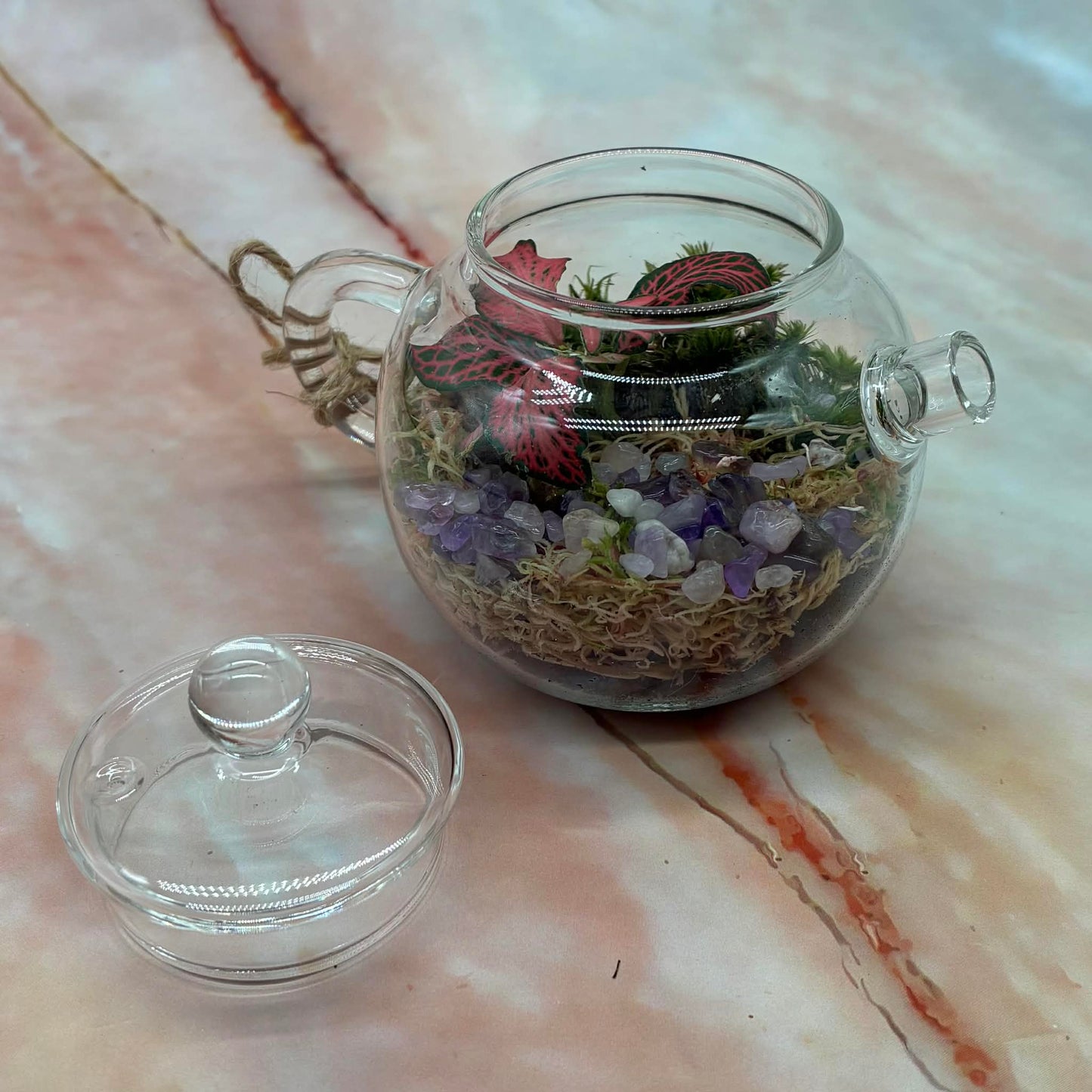 Self Sustaining Terrariums | Various Sizes