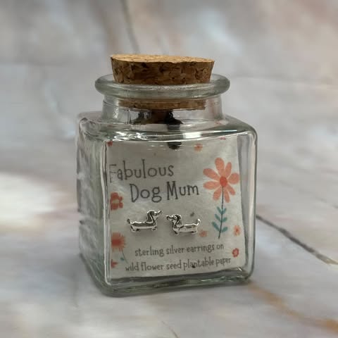 Sterling Silver Earrings | Thoughtful Sentiments | Various Designs