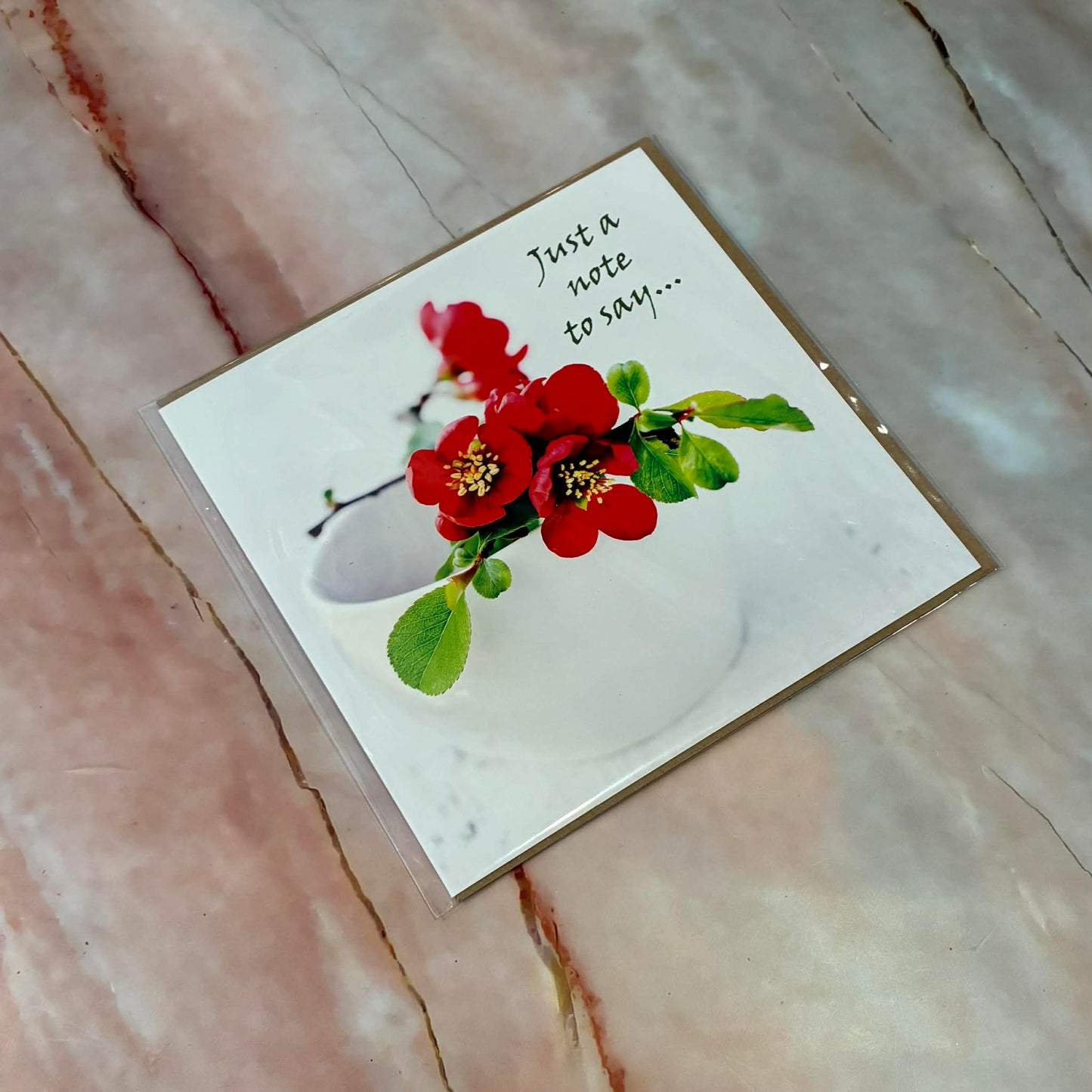 Photography Blank Greetings Cards | Various Designs