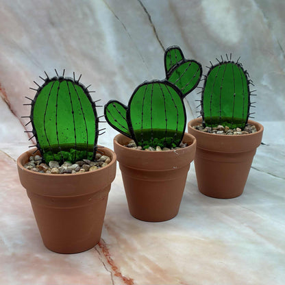 Cacti | Stained Glass | Various Designs
