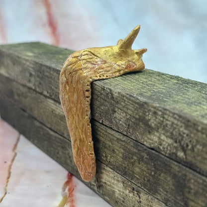 Ceramic Slugs | Clay & Paint | Various Styles