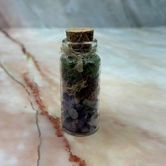 Self Sustaining Moss Pots | With Crystals