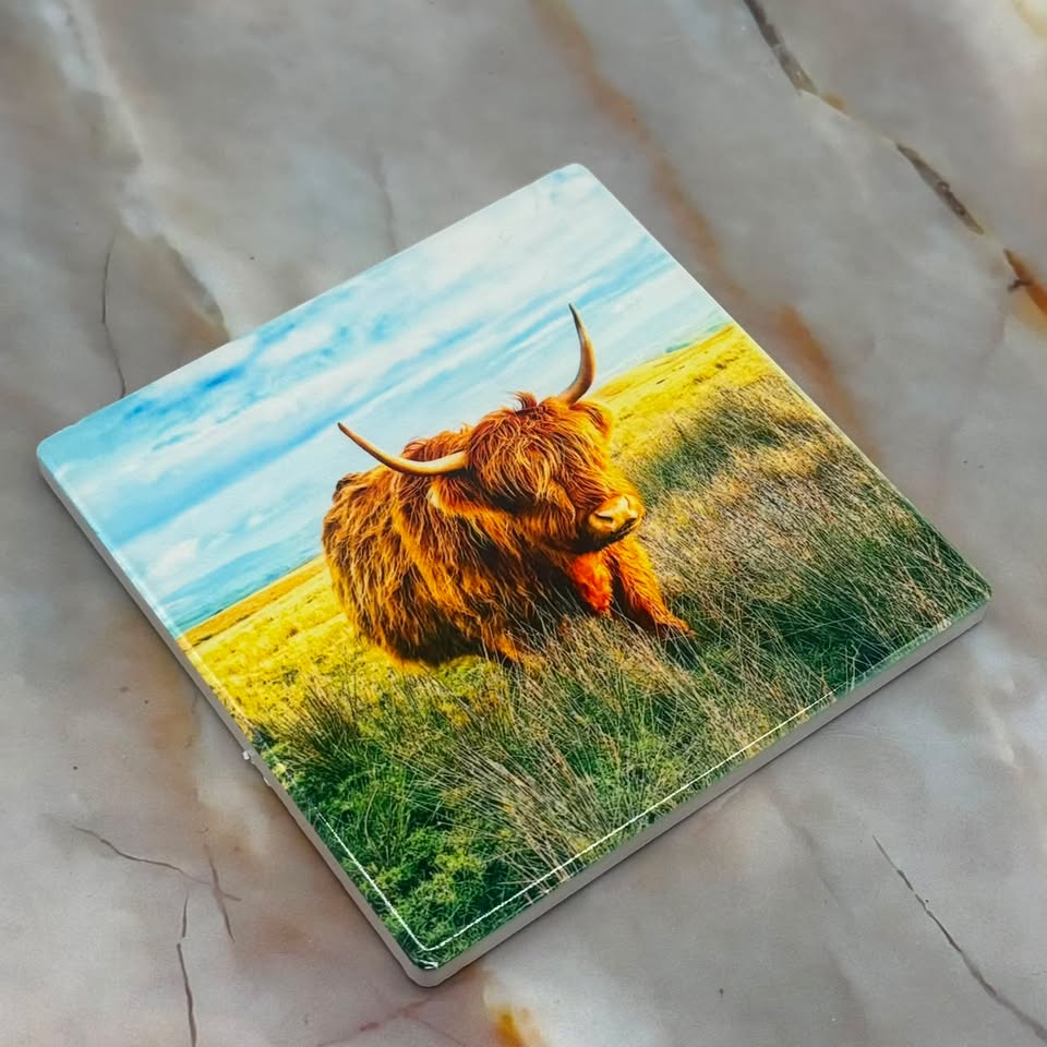 Animal Coasters | Ceramic | Various Designs
