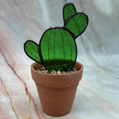Cacti | Stained Glass | Various Designs
