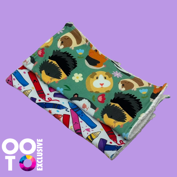 Reuseable Baby Wipes | Pack of 2 | Various Designs