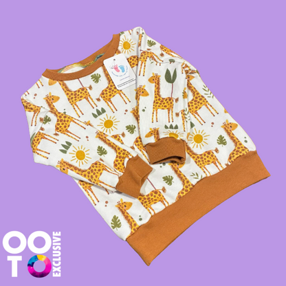 Baby & Toddler Sweatshirts | Various Colours & Designs