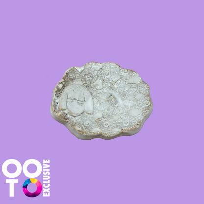 Ceramic Sheep Tea Bag Dish Holders