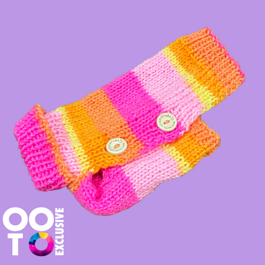 Hand Knitted Dog Coats | Extra Extra Small Dogs with Button Fastenings | Ideal for Puppies / Small Chihuahuas
