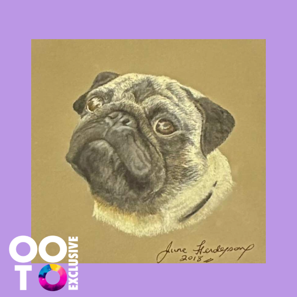 Frankie | Pug Pastel Print of an Original Painting