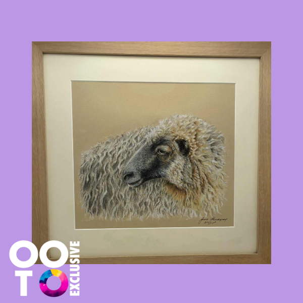 A Backward Glance | Original Pastel Painting of Sheep