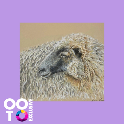 A Backward Glance | Original Pastel Painting of Sheep