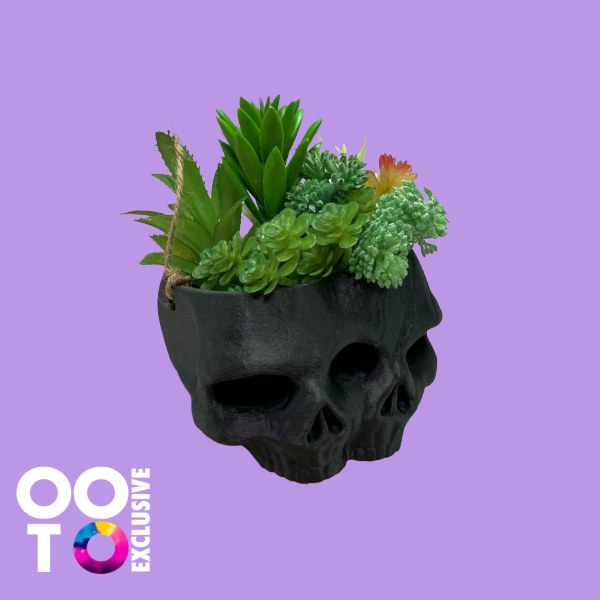 3D Printed Skull Plant Pots | Various Colours