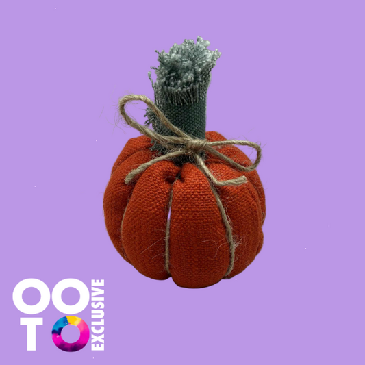 Pumpkins | Various Designs &  Sizes