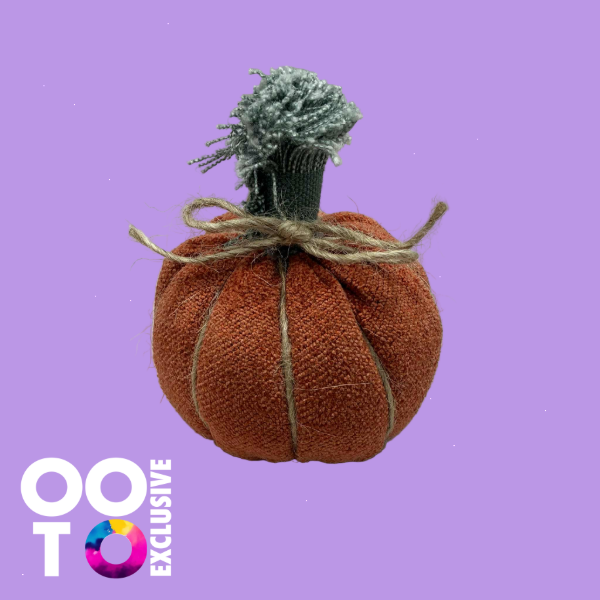 Pumpkins | Various Designs &  Sizes