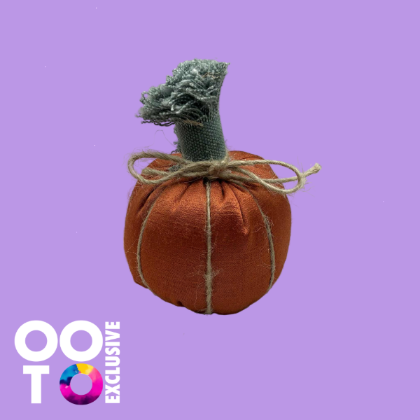 Pumpkins | Various Designs &  Sizes