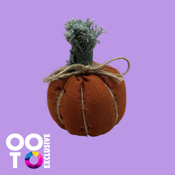 Pumpkins | Various Designs &  Sizes