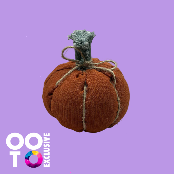 Pumpkins | Various Designs &  Sizes
