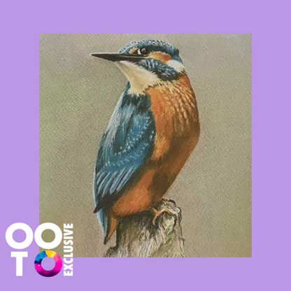 Pastel Prints of British Wildlife | 2 Designs