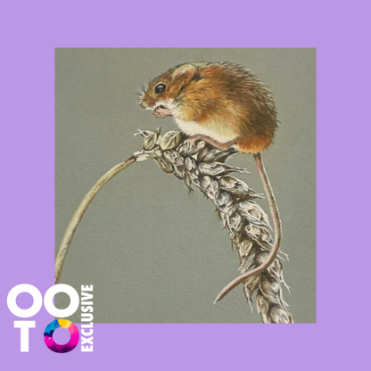 Pastel Prints of British Wildlife | 2 Designs