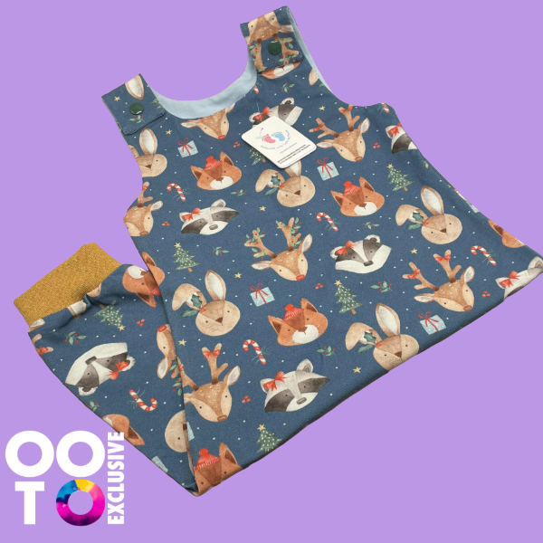 Baby & Toddler Romper Suits | Christmas Collection