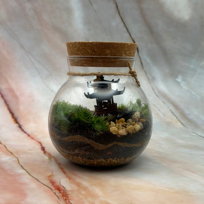 Self Sustaining Terrariums | Various Sizes