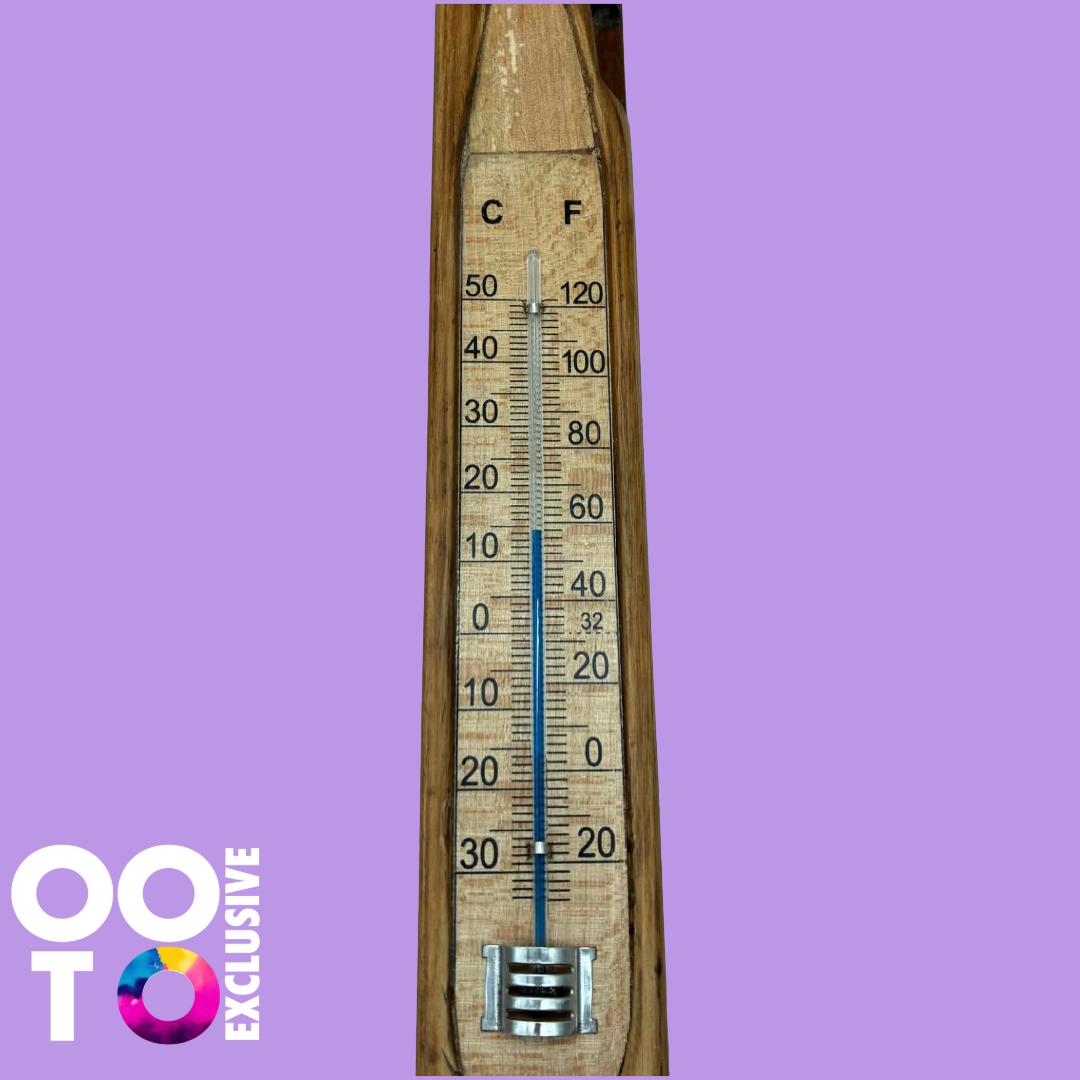 Flying Shuttle Thermometer | Antique Wooden Mill Shuttle
