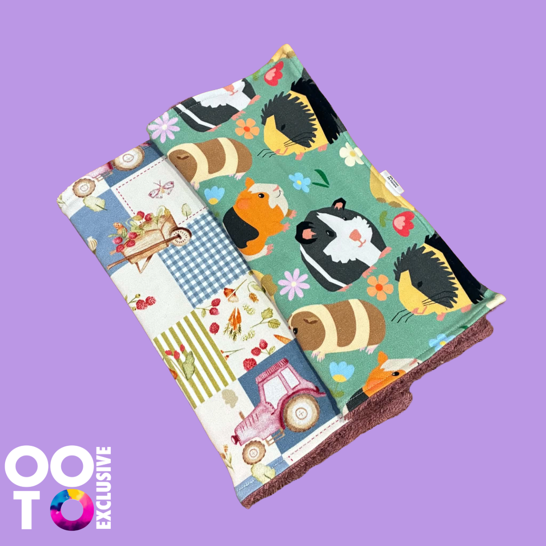 Reuseable Baby Wipes | Pack of 2 | Various Designs