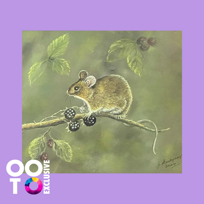 Harvest Mouse| Original Pastel Painting