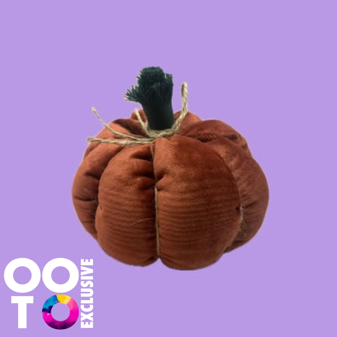 Pumpkins | Various Designs &  Sizes