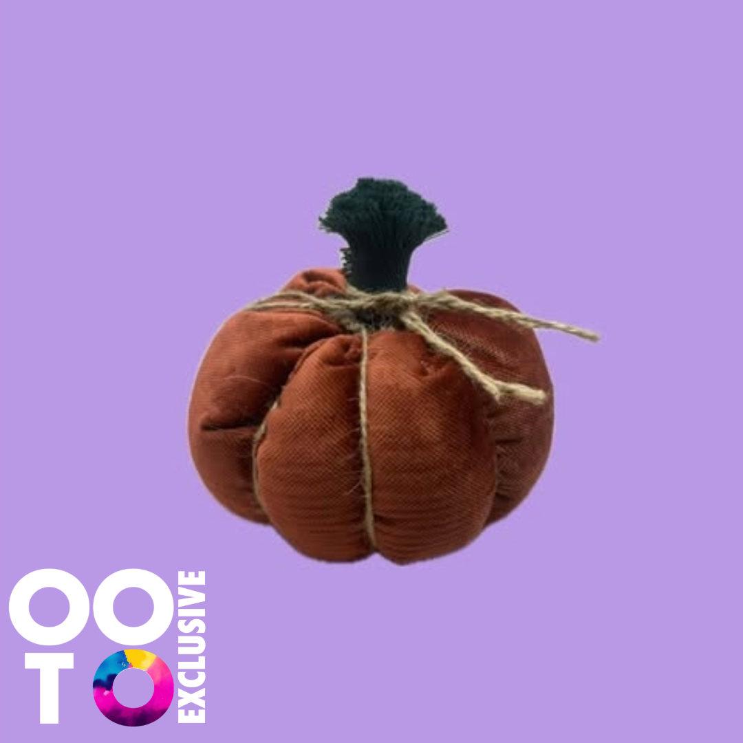 Pumpkins | Various Designs &  Sizes