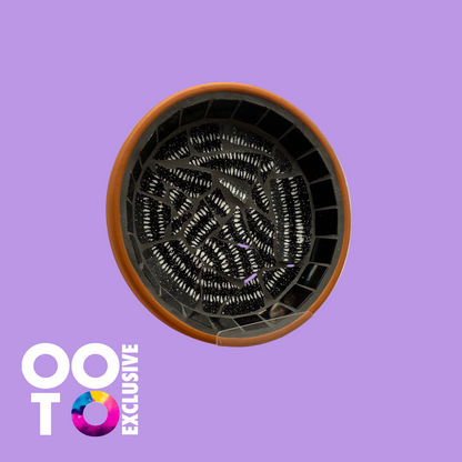 Mosaic Bowl | Terracotta