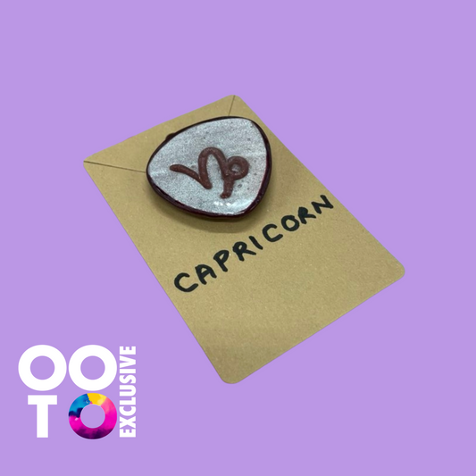 Polymer Clay Zodiac Brooches