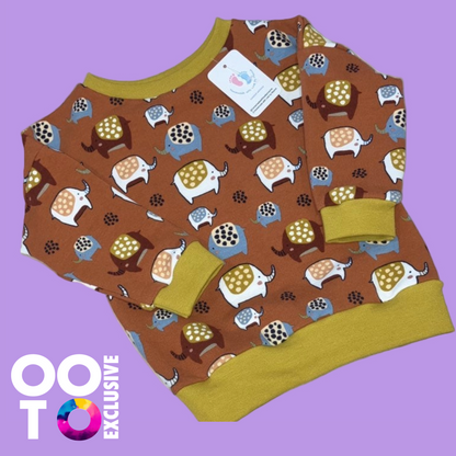 Baby & Toddler Sweatshirts | Various Colours & Designs