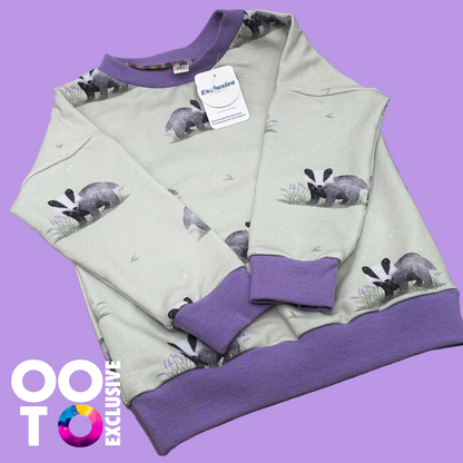 Baby & Toddler Sweatshirts | Various Colours & Designs