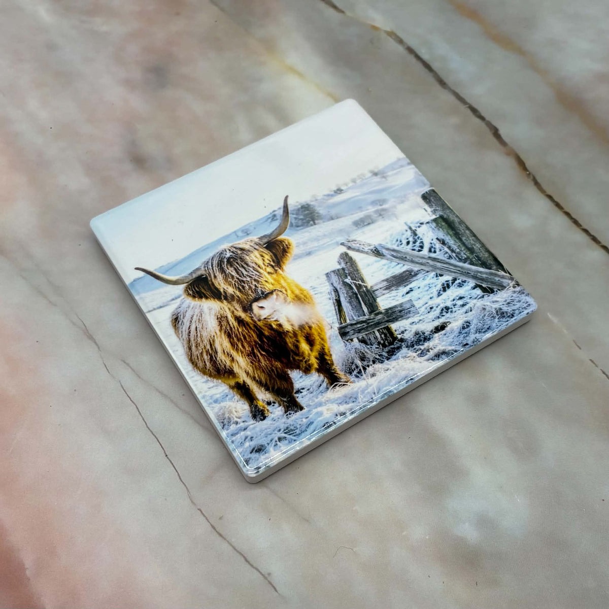 The Winter Collection | Highland Cow Coasters | 4 Designs
