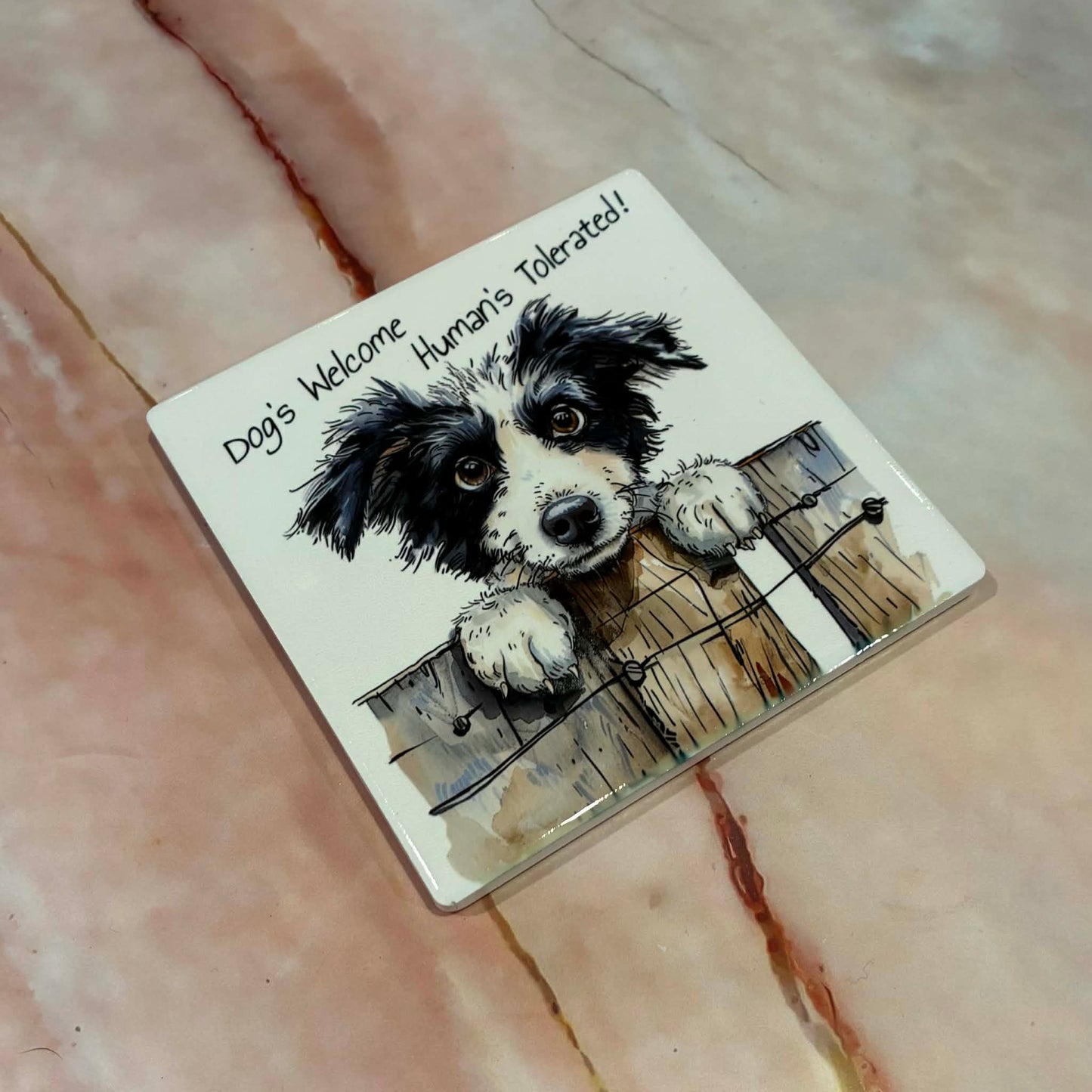 Animal Coasters | Ceramic | Various Designs