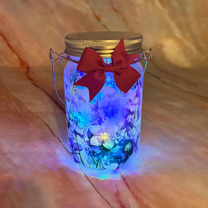 Light Up Lantern Jars | Plastic | Rechargable | Various Designs