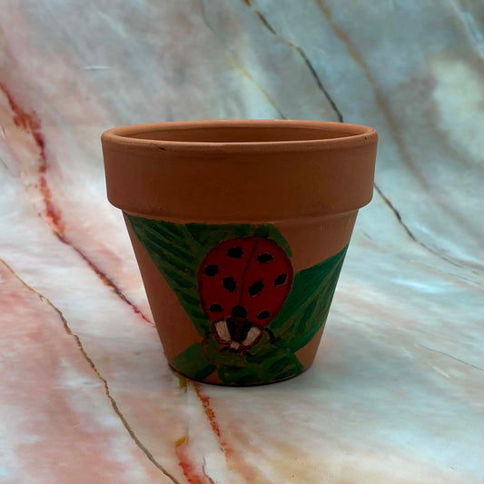 Small Terracotta Pots | Hand Painted | Choose Your Favourite!