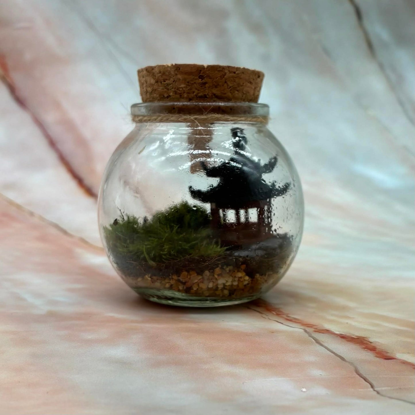 Self Sustaining Terrariums | Various Sizes