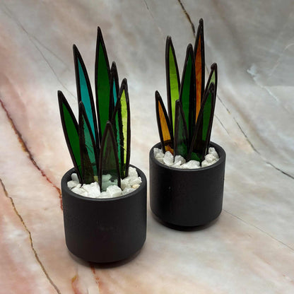 Succulents | Stained Glass | Various Sizes & Colours