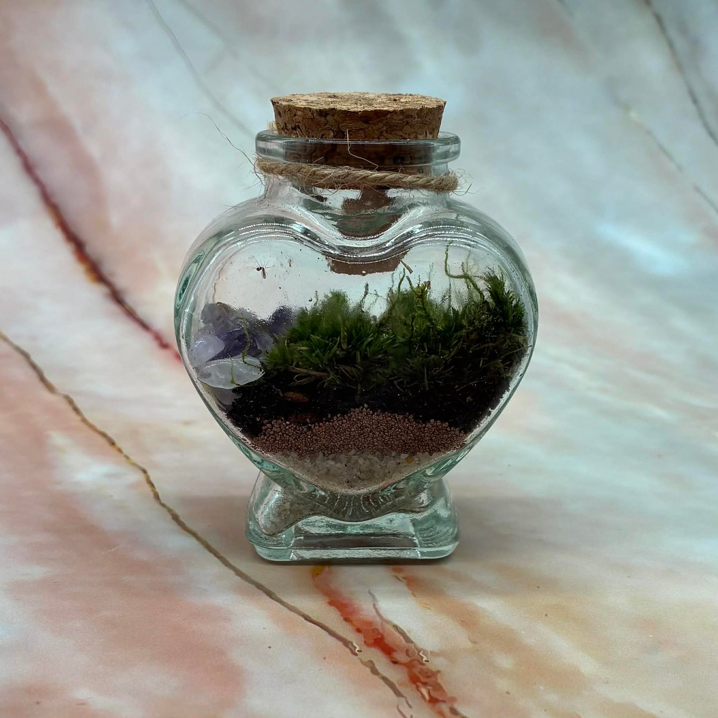 Self Sustaining Terrariums | Various Sizes