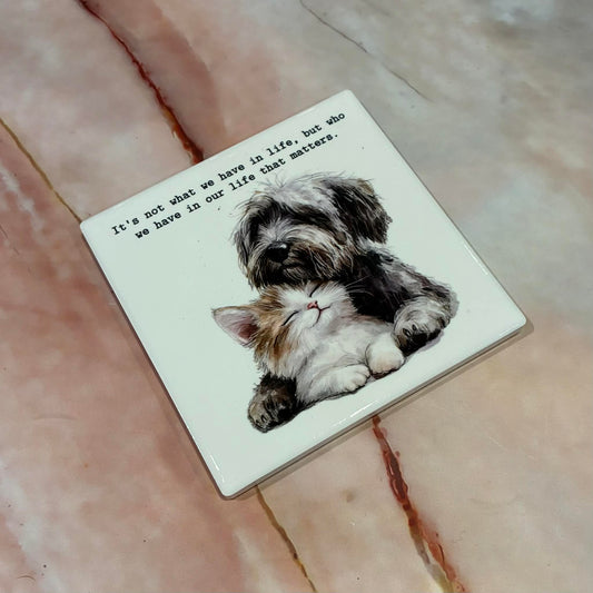 Animal Coasters | Ceramic | Various Designs